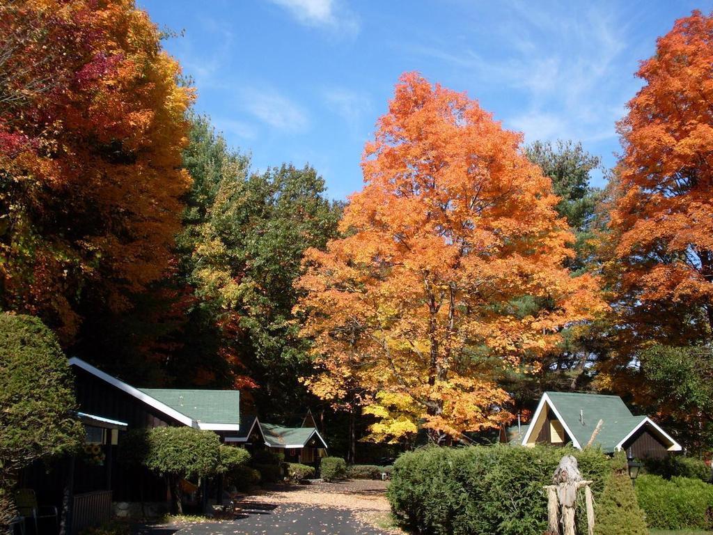 Amber Lantern Two-Bedroom Cottage Lake George Zimmer foto