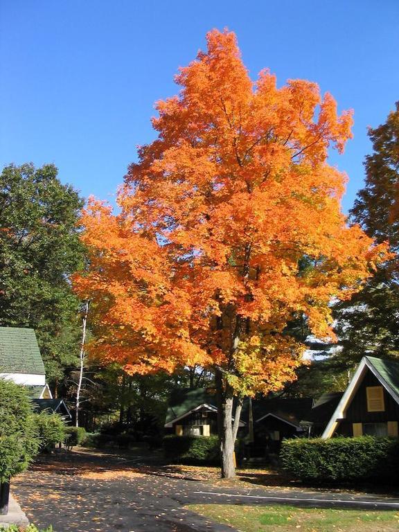 Amber Lantern Two-Bedroom Cottage Lake George Zimmer foto